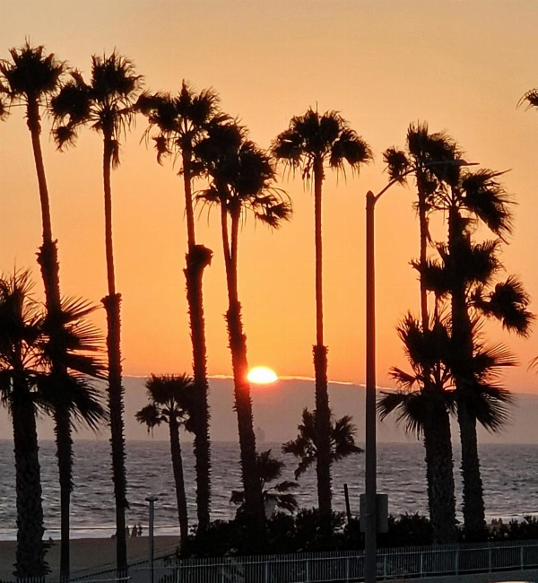 Huntington Surf Inn Main image
